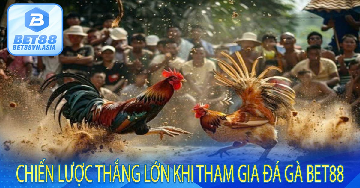 Chiến Lược Thắng Lớn Khi Tham Gia Đá Gà Bet88