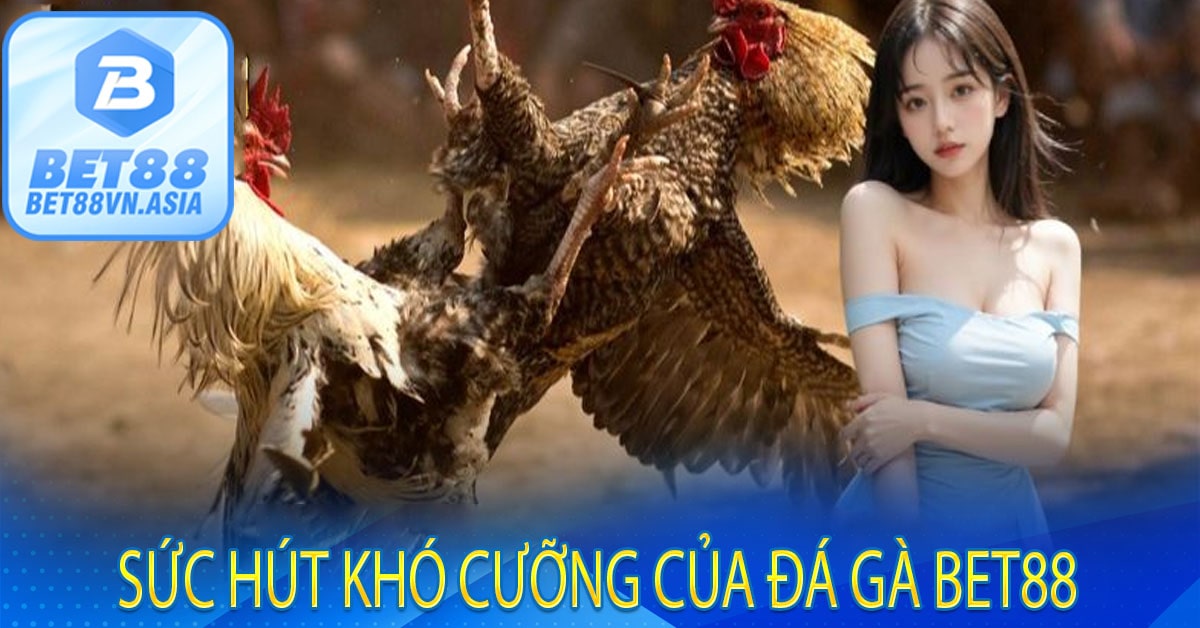 Sức Hút Khó Cưỡng Của Đá Gà Bet88